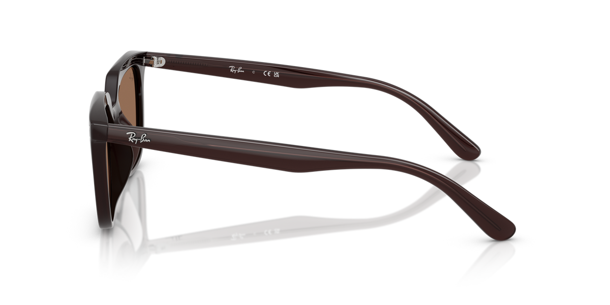 Ray-Ban RB4439D 623173 opal brown sunglasses 54mm side view