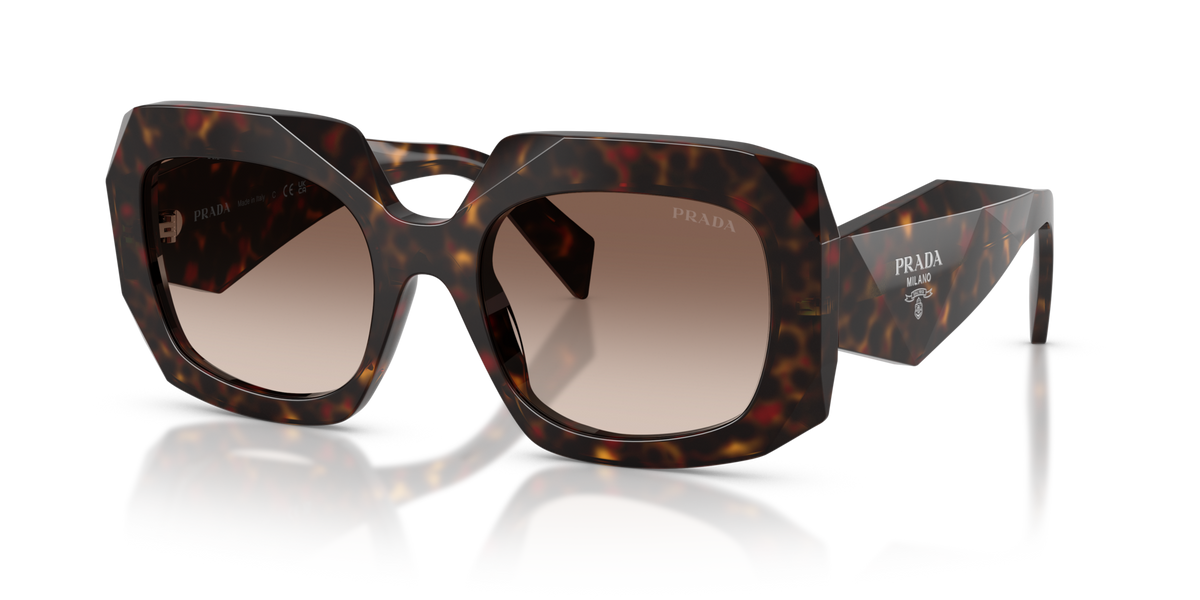 Prada PRB23S 17N10S root tortoise sunglasses 54mm angled view