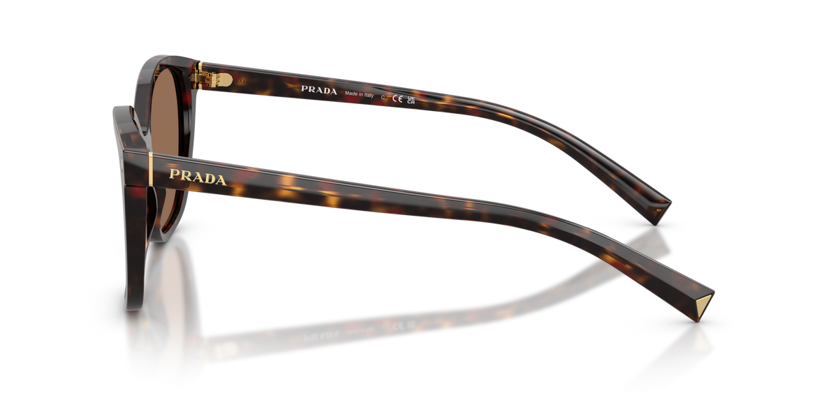 Prada PR22ZS 17N06B tartaruga radica sunglasses 53mm side view