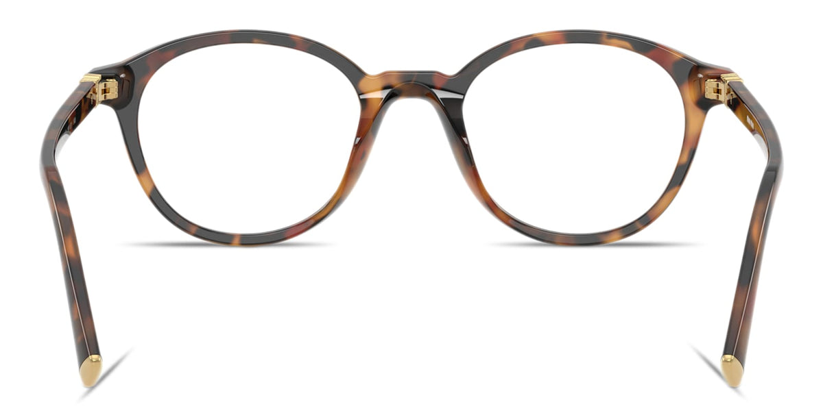 Miu Miu MU02WV 19P1O1 havana ivy eyeglasses 50mm detail view