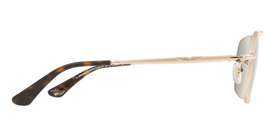Police Origins Classic 2 SPLL86 0349 – Rose Gold Sunglasses (58mm)