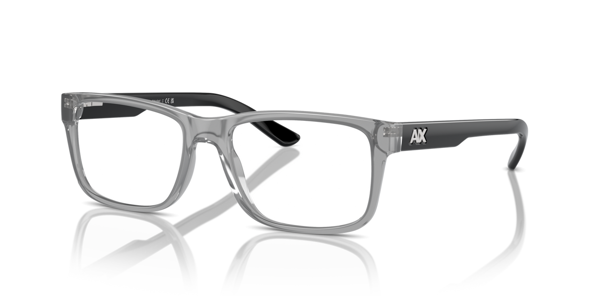 Armani Exchange AX3016 8239 shiny transparent grey eyeglasses 53mm angled view