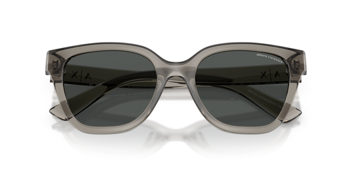 Armani Exchange AX4164SU 839487 shiny transparent grey sunglasses 53mm folded view
