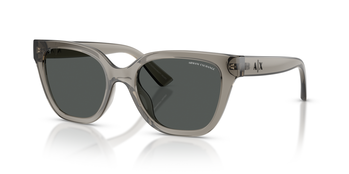 Armani Exchange AX4164SU 839487 shiny transparent grey sunglasses 53mm angled view