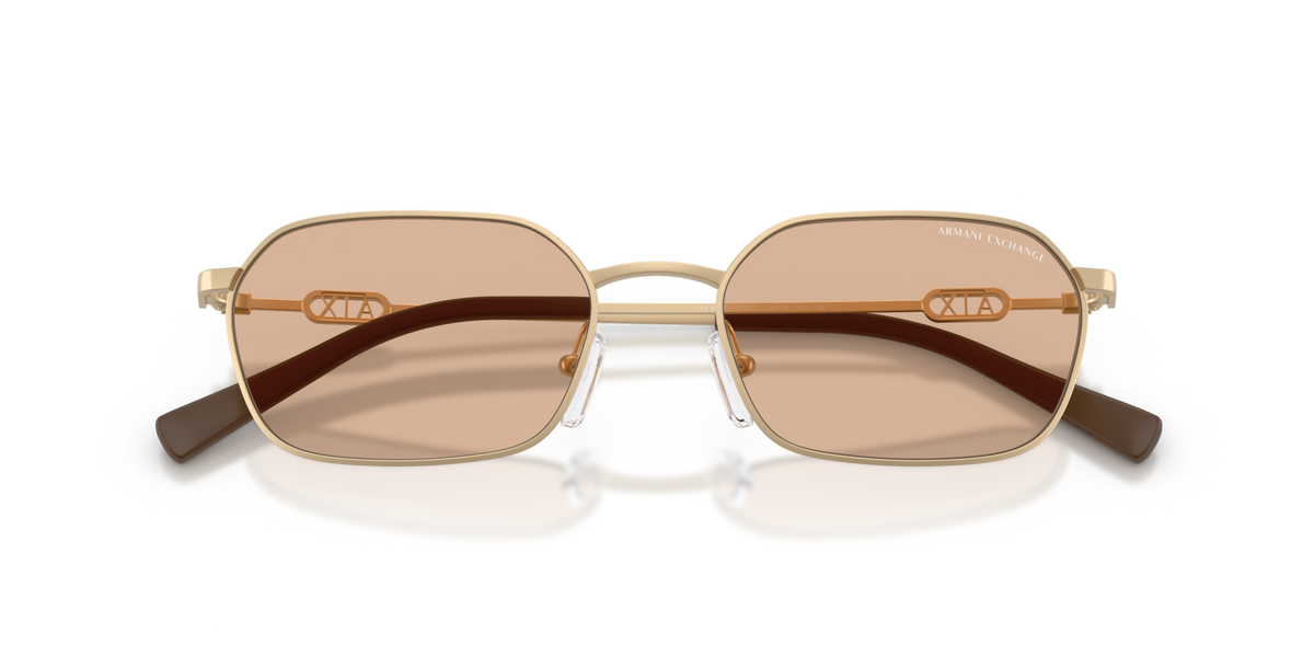 Armani Exchange AX2056S 612173 matte pale gold sunglasses 54mm folded view