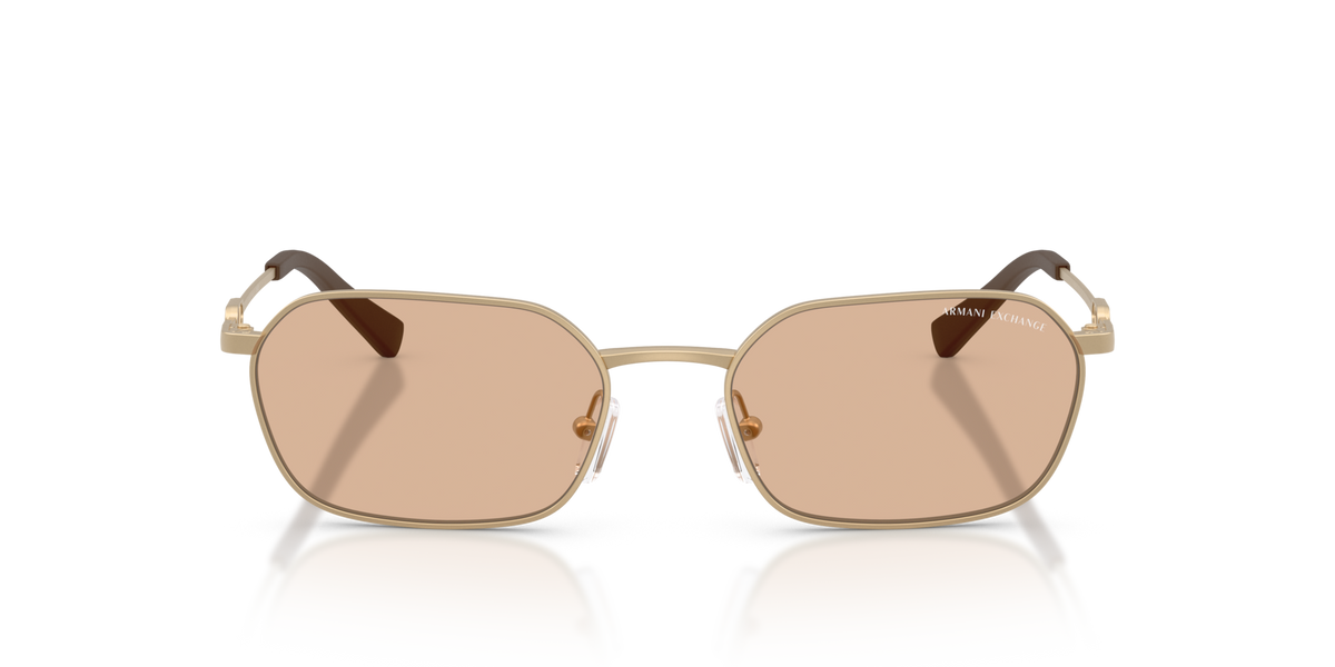 Armani Exchange AX2056S 612173 matte pale gold sunglasses 54mm