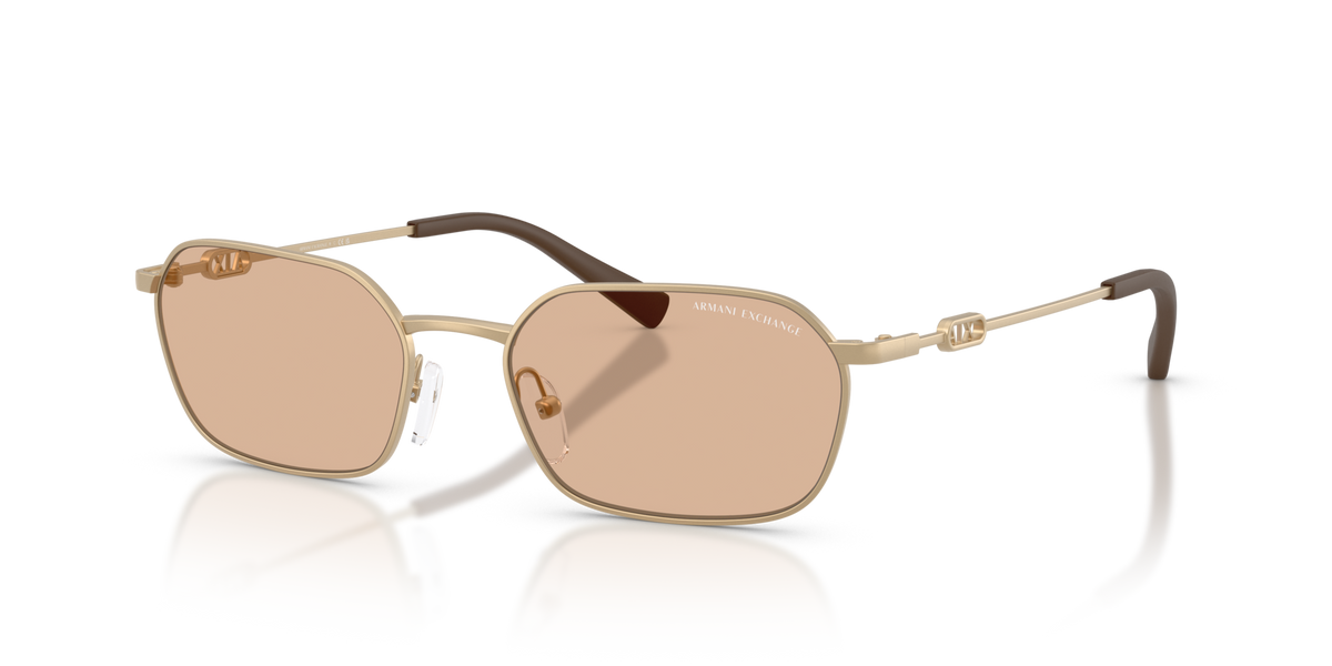 Armani Exchange AX2056S 612173 matte pale gold sunglasses 54mm angled view