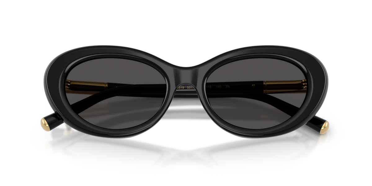 Dolce & Gabbana DG4519 501/87 black sunglasses 54mm folded view