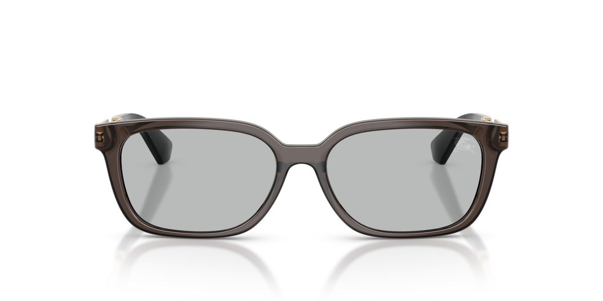 Burberry BE4481D 411287 grey sunglasses 54mm