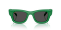 Ray-Ban RB4940 683487 – Green Sunglasses (47mm)