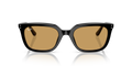 Ray-Ban RB4439D 901/73 – Black Sunglasses (54mm)