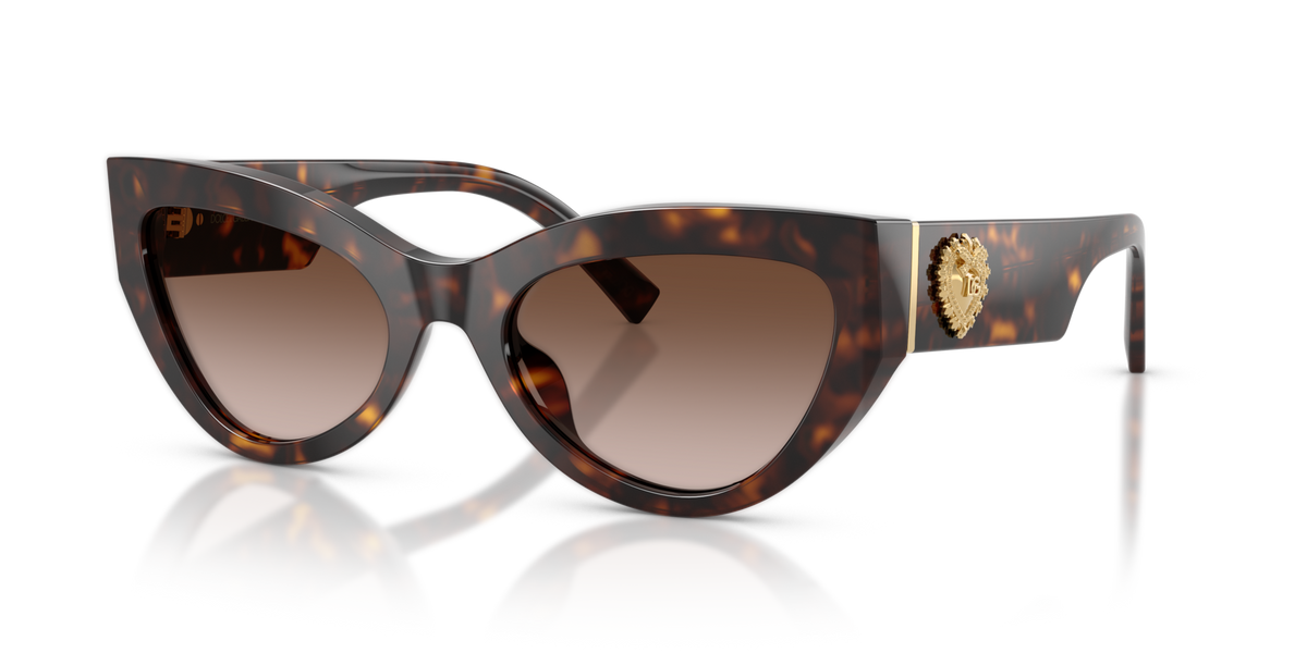 Dolce & Gabbana DG4536 502/13 havana sunglasses 55mm angled view