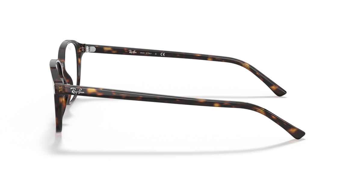 Ray-Ban RX5393 2012 havana eyeglasses 51mm side view