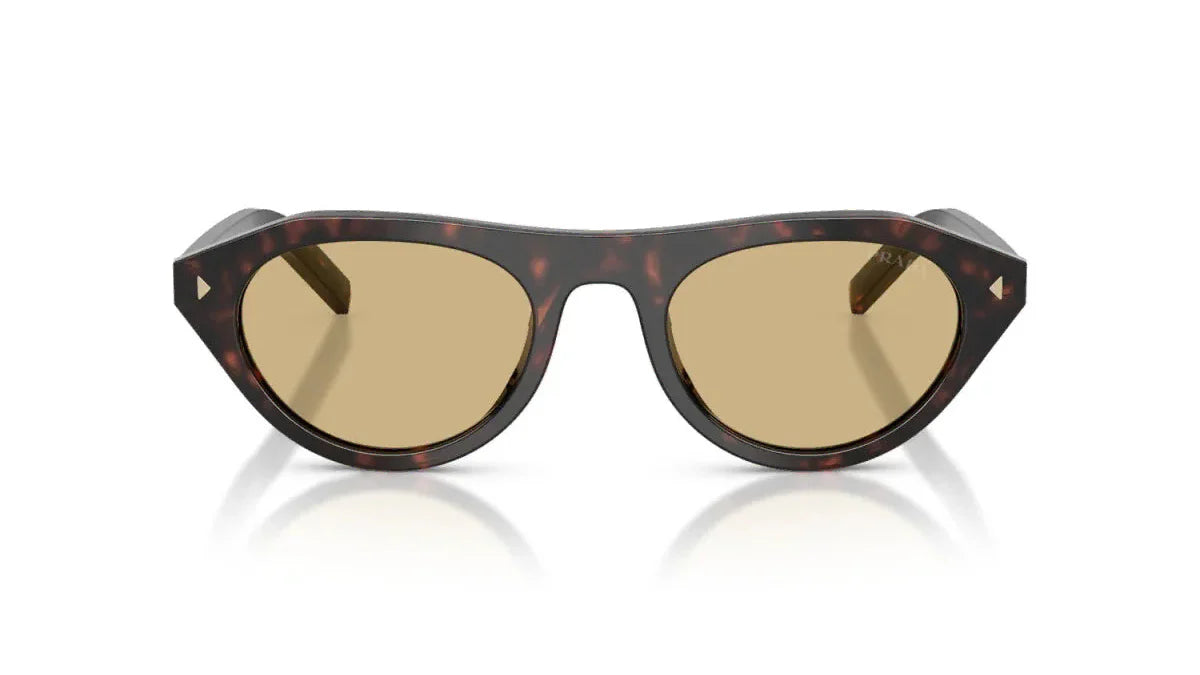 Prada PR B15S 17N70R – Root Tortoise Sunglasses (51mm)