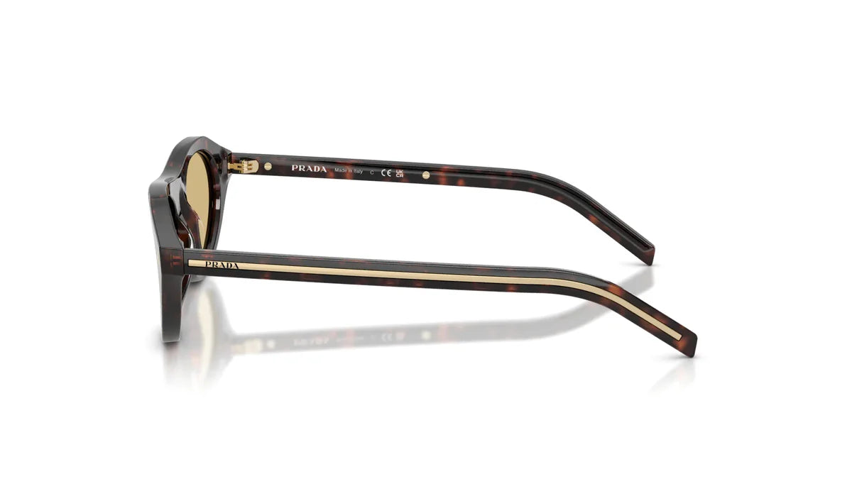 Prada PR B15S 17N70R – Root Tortoise Sunglasses (51mm)